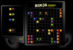 Super Ninja Puzzle Master